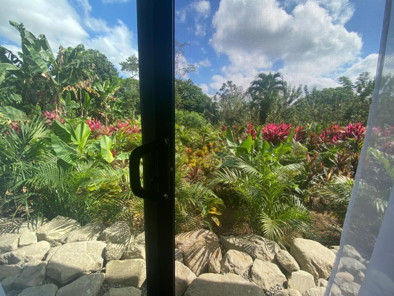 La Fortuna Toucan Home מראה חיצוני תמונה